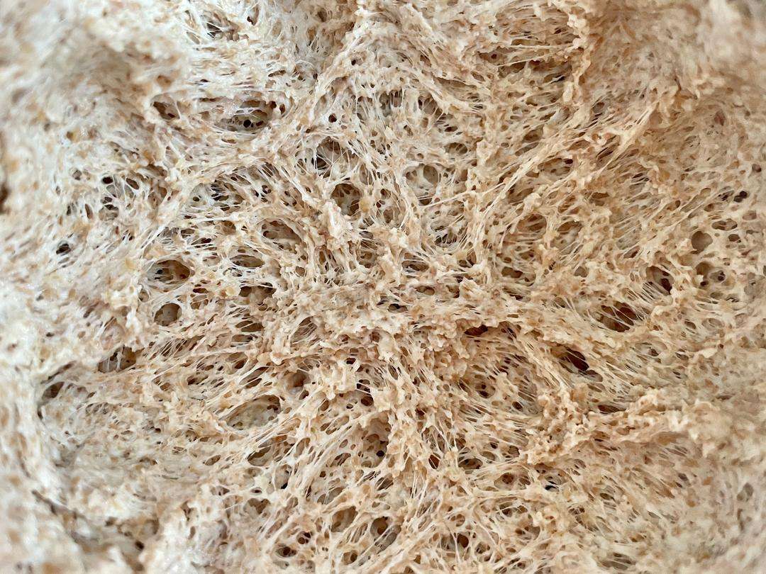 Check the poolish for a clear honeycomb structure before mixing the main dough
