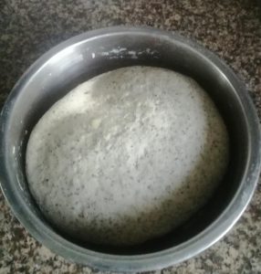 Let the dough ferment until it has roughly doubled in size, about 1 to 1.5 hours in a warm kitchen.