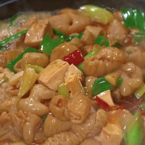 Braised pork intestine with tofu in a dark sauce with scallions