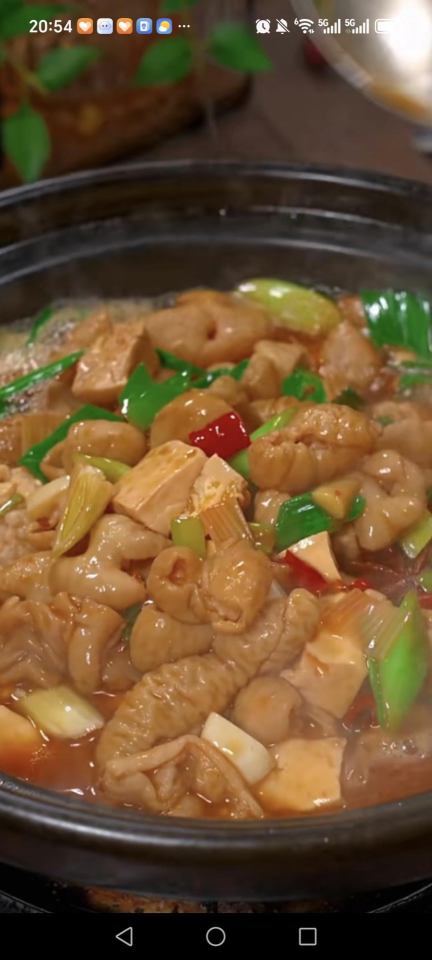 Braised pork intestine with tofu in a dark sauce with scallions