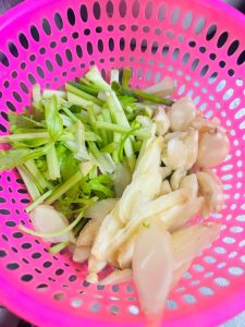 Scallions celery ginger and garlic prepped