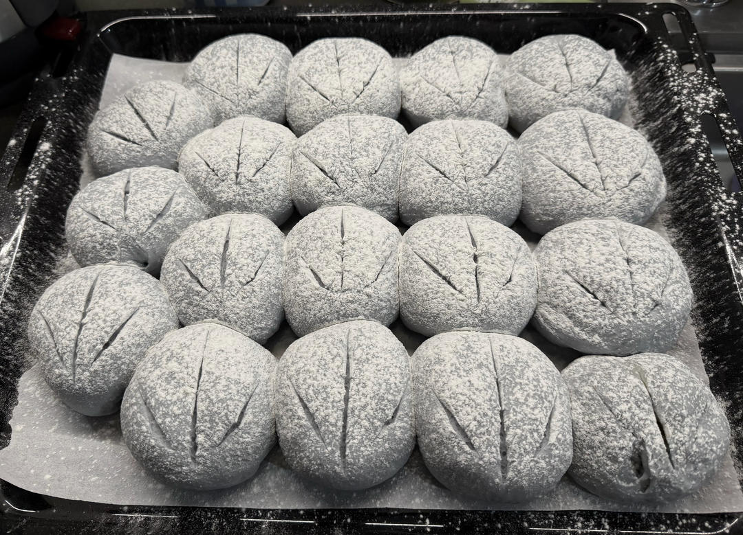 Proofed blue buns dusted with flour and slashed
