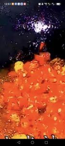 Toss the sliced fresh red chilies into the red oil and stir them briefly so they soften without losing their bright color.