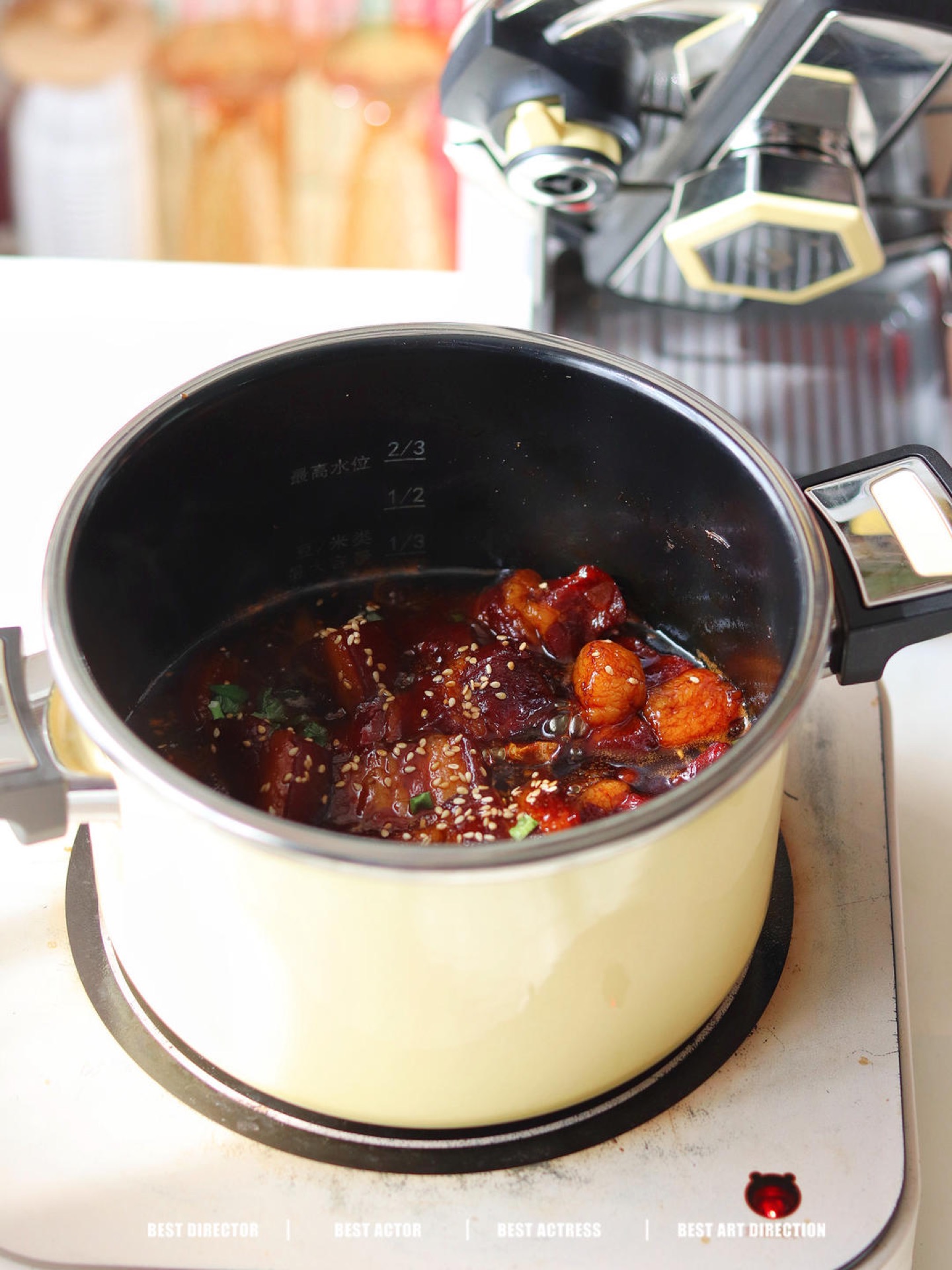 Bowl of braised pork belly served with rice