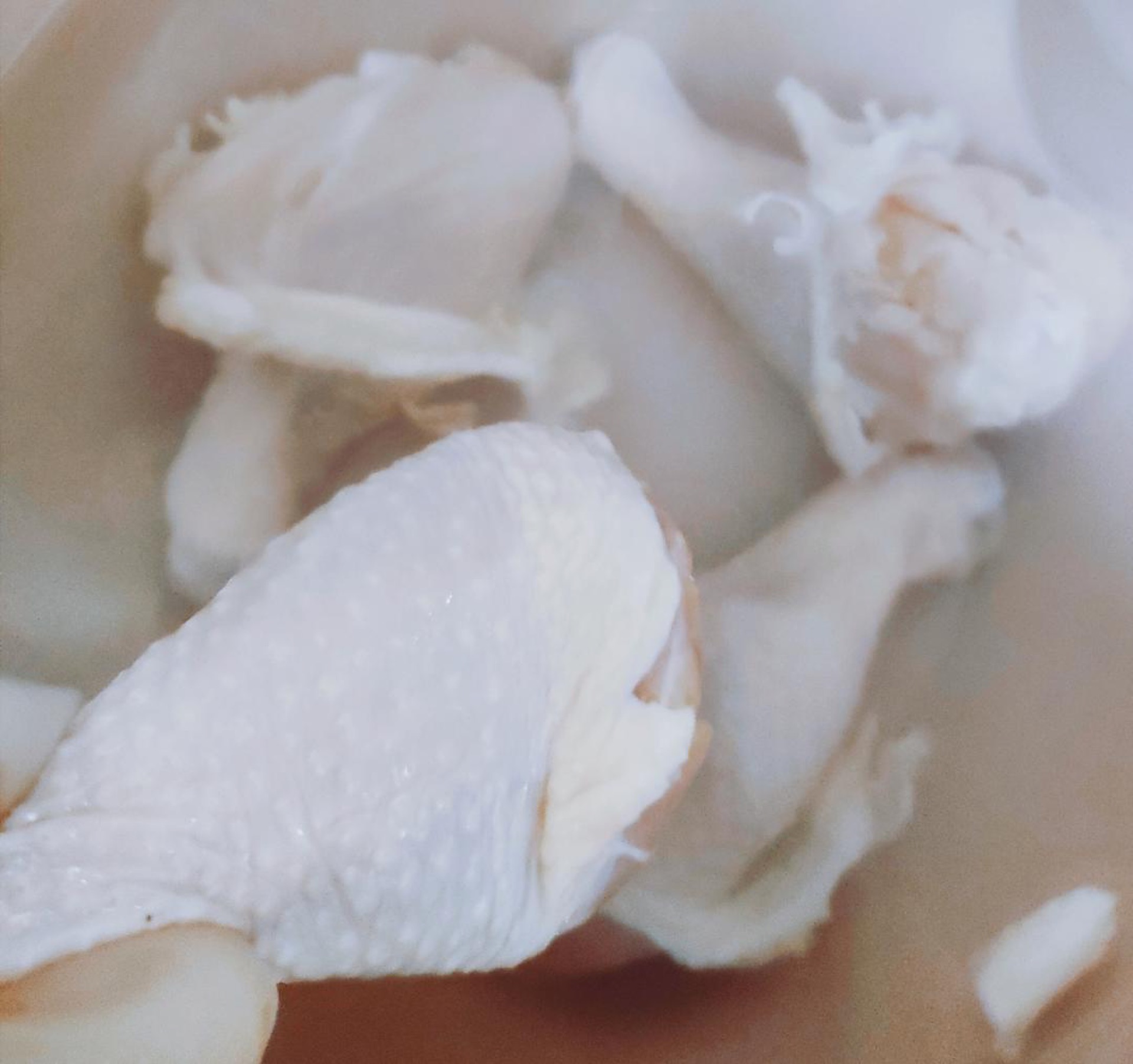 Washing chicken wings with salt and water