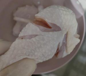 Cutting chicken wings into pieces with shears