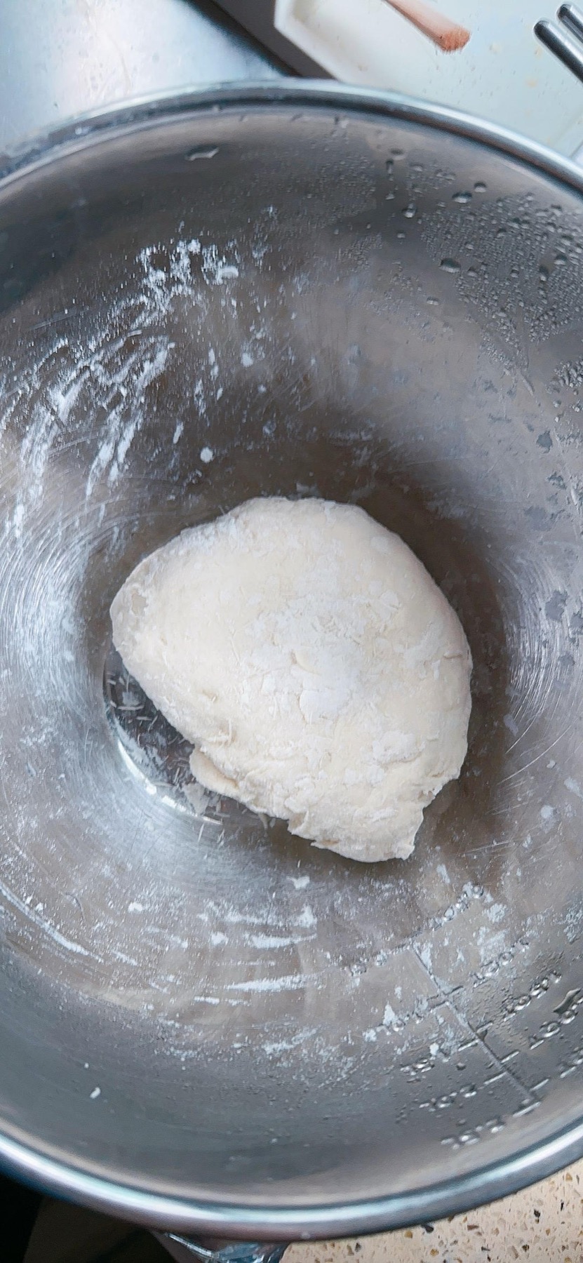 Dough resting in a covered bowl in the fridge