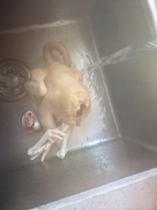 Wash the chicken clean, then pour 100°C (212°F) boiling water over it to lock in freshness.