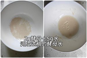 Mix 2-3g of yeast with 5g of cool water and set it aside.