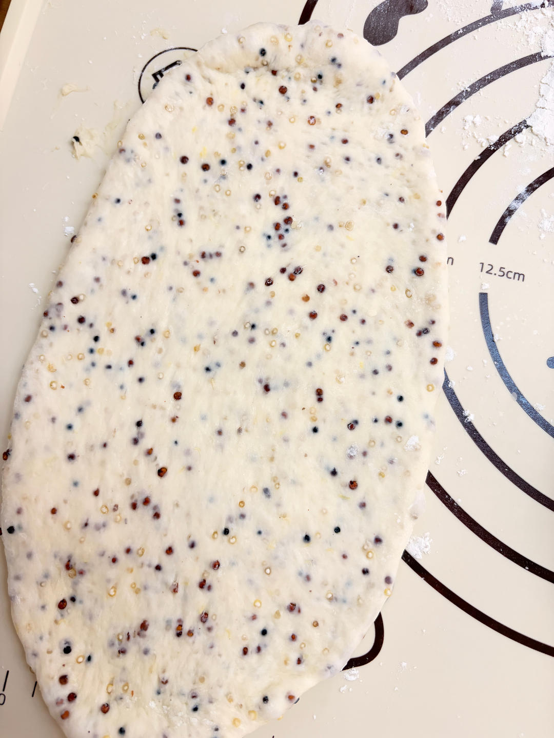 Divided and rounded dough pieces resting under cover
