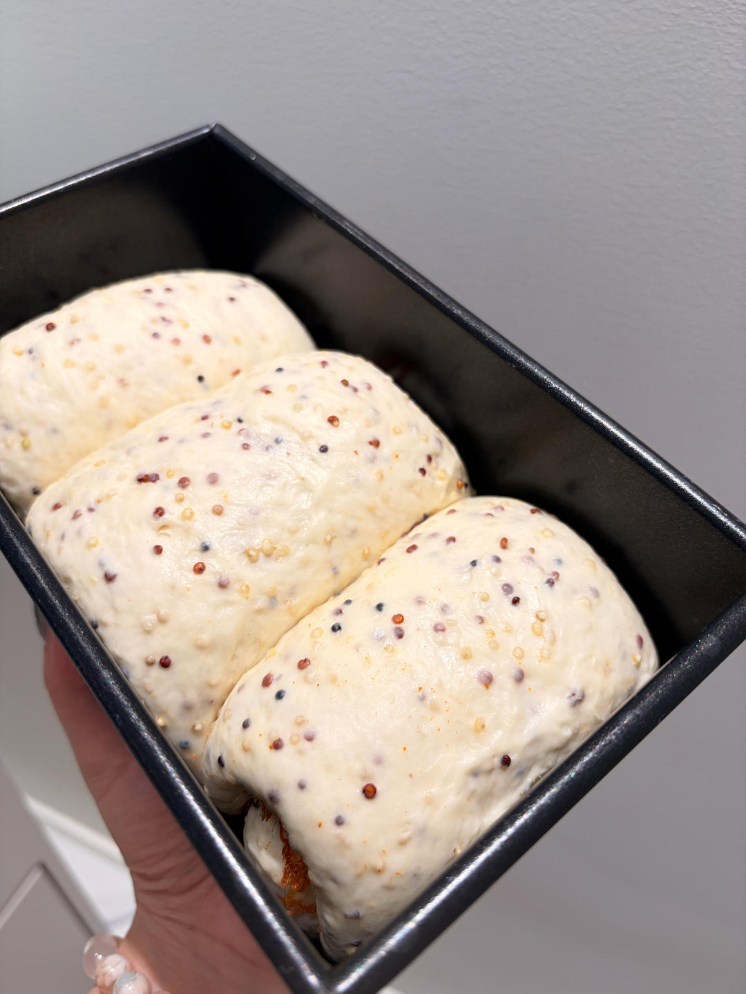 Shaped dough logs proofing in the loaf pan