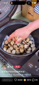 Raw quail eggs arranged on the damp cloth in the rice cooker
