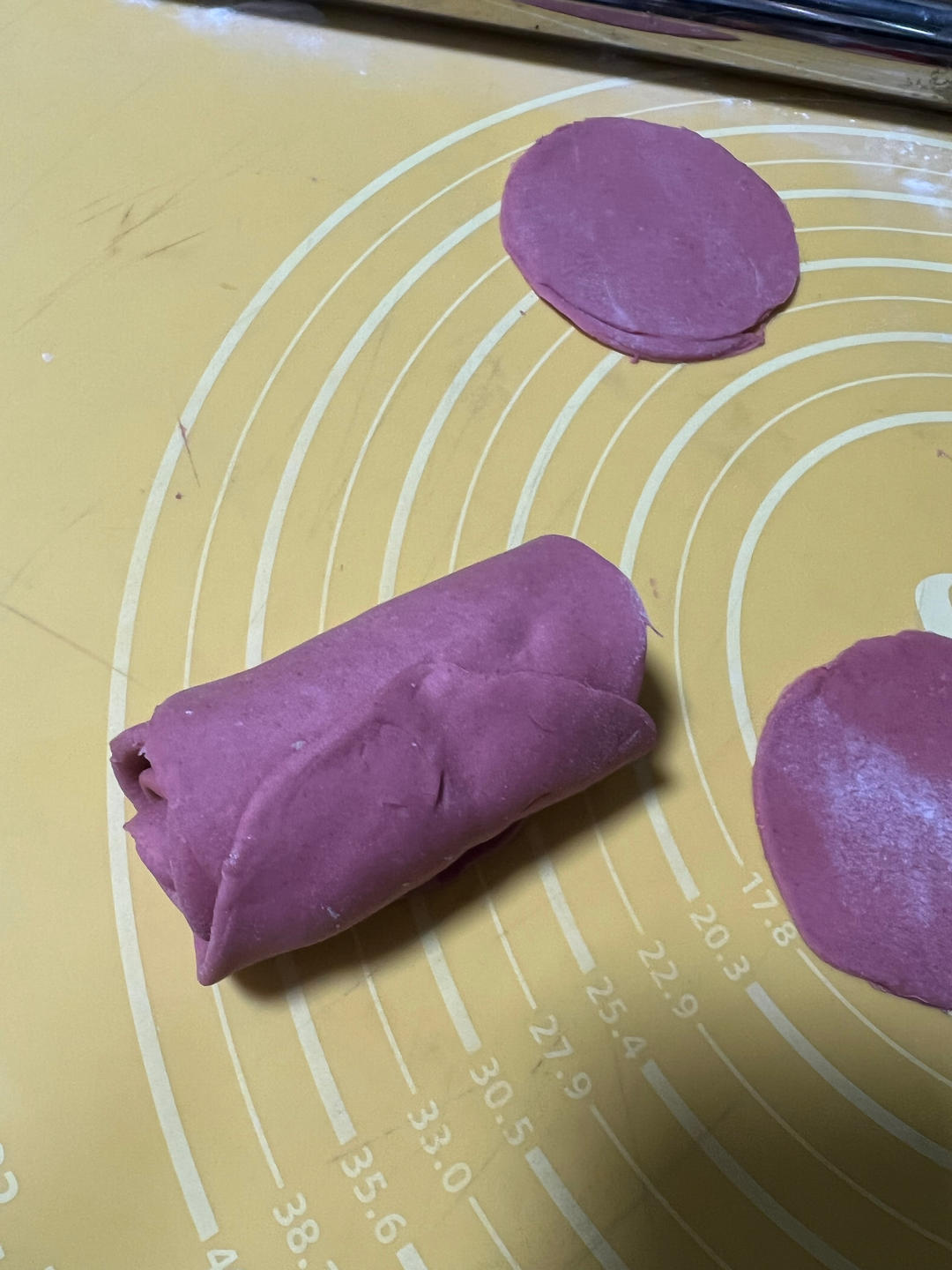 The row of discs rolled up into a log