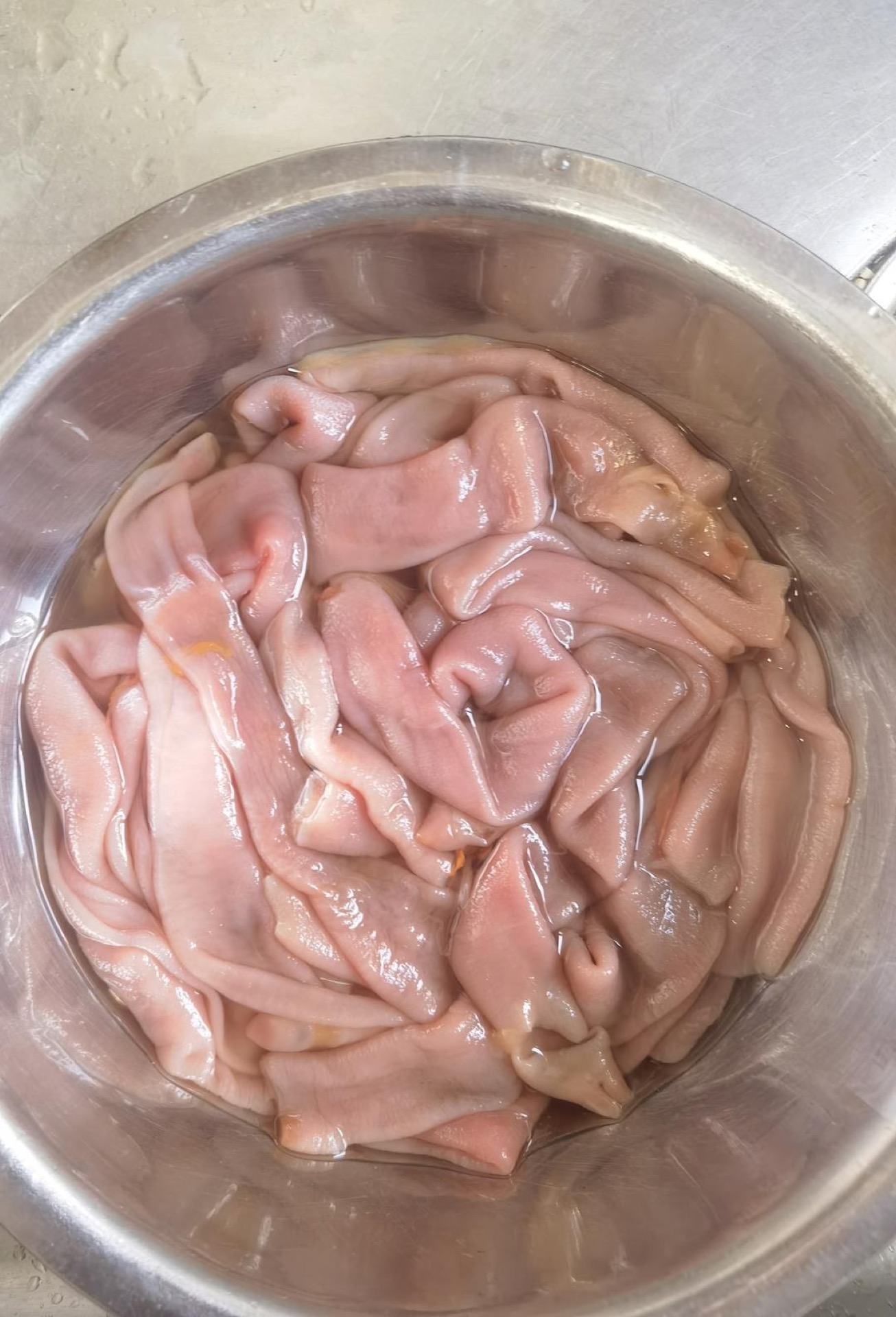 Sea worms rinsed and drained in a bowl