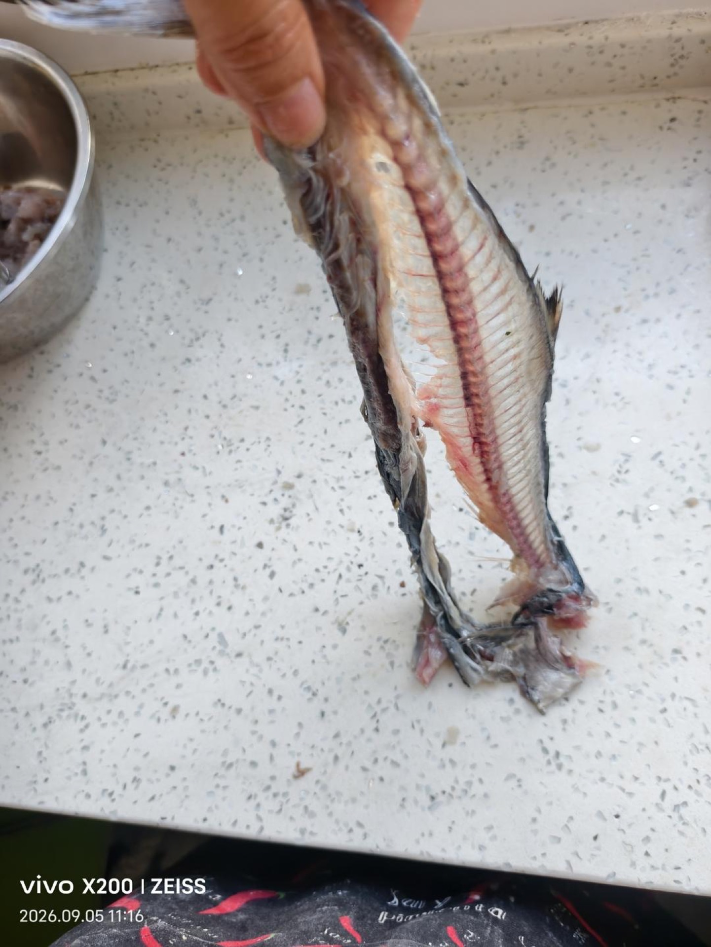 Mackerel bones and skin left after scraping the flesh