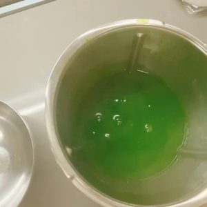 Pour the cooked jelly into a large bowl greased with a little cooking oil.