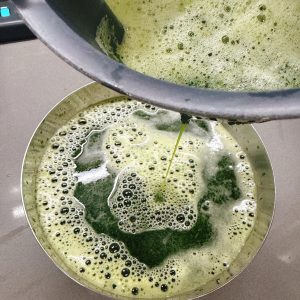 You should end up with a large bowl of vivid emerald-green water.