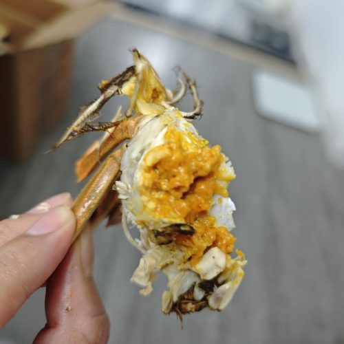Steamed hairy crab with ginger and scallion on a plate