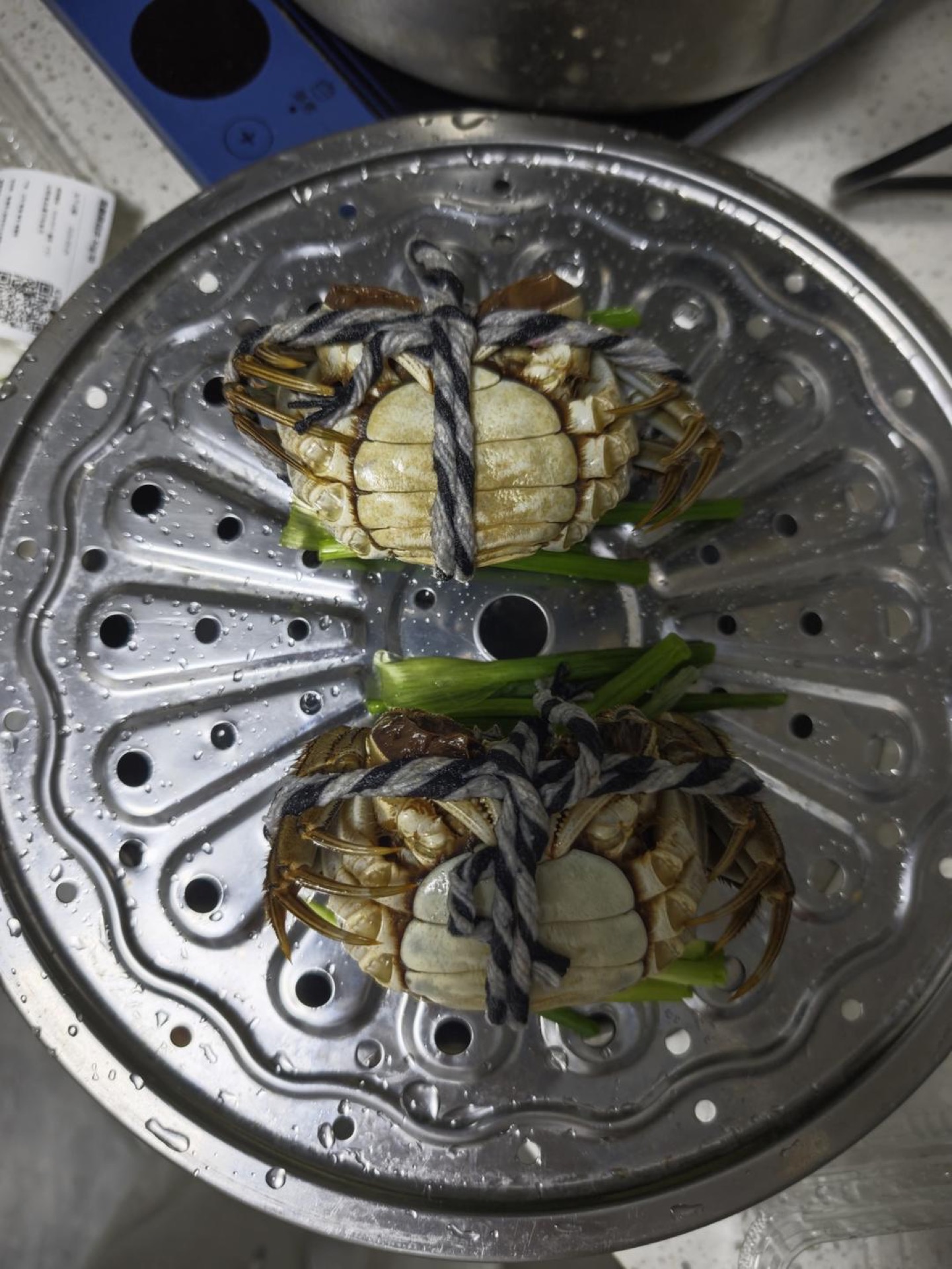 Cleaned crabs arranged belly-up on the steamer rack