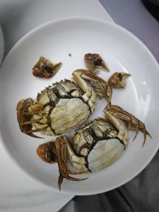 Steamed crabs being lifted out of the pot