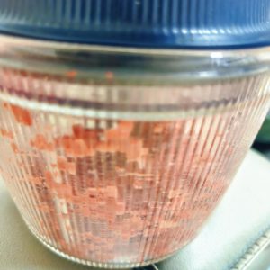 Pulsing pigeon in a food processor in short bursts