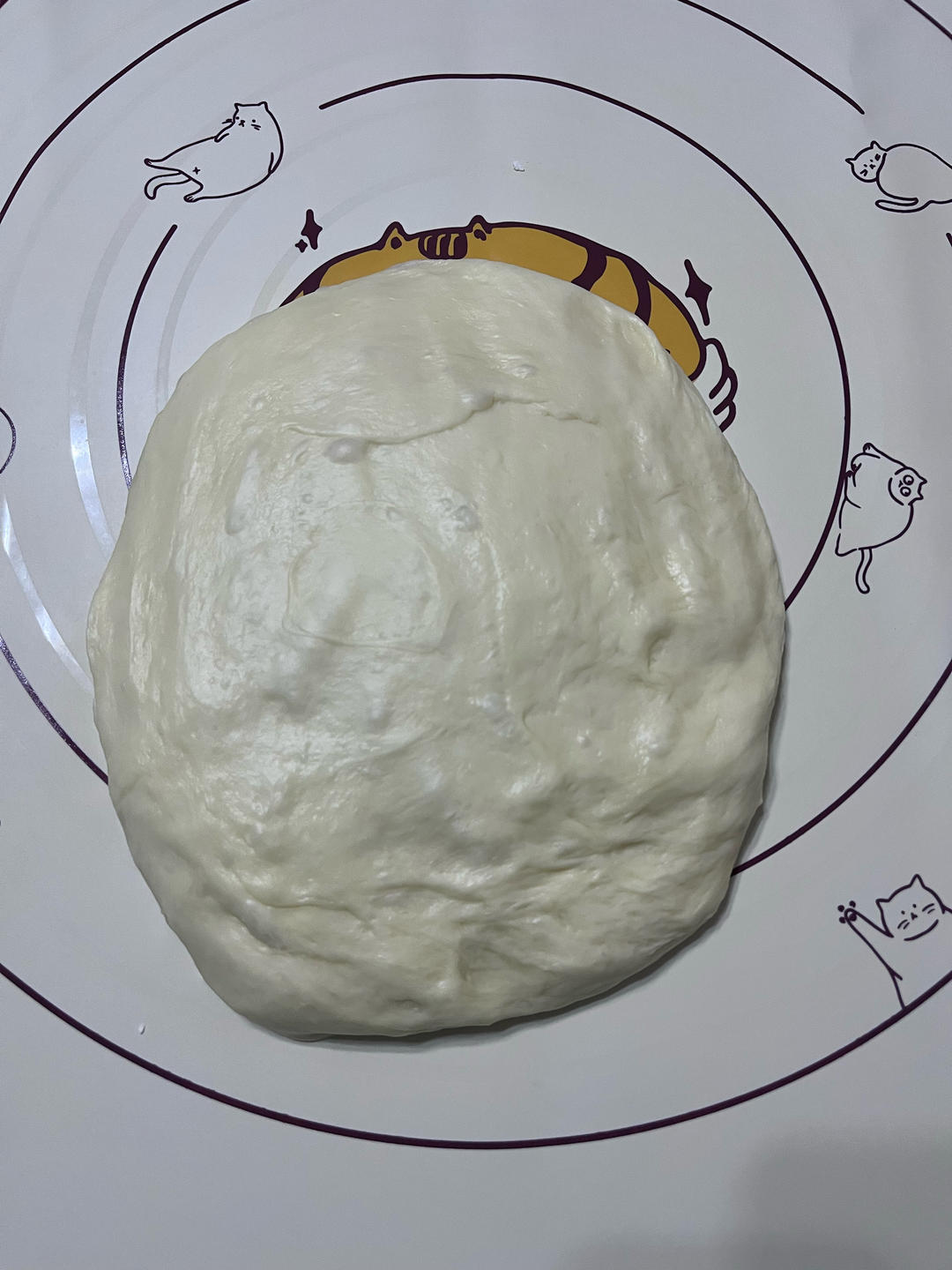 Risen tangzhong dough divided into eight equal pieces