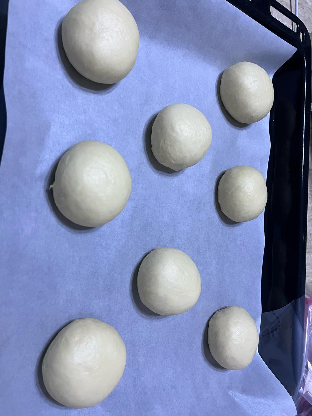 Rounded buns proofing with egg wash and sesame seeds