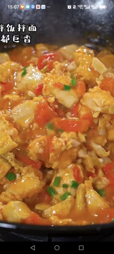 Tomato Braised Tofu with Egg (番茄炖豆腐): Golden Egg-Wrapped Tofu in