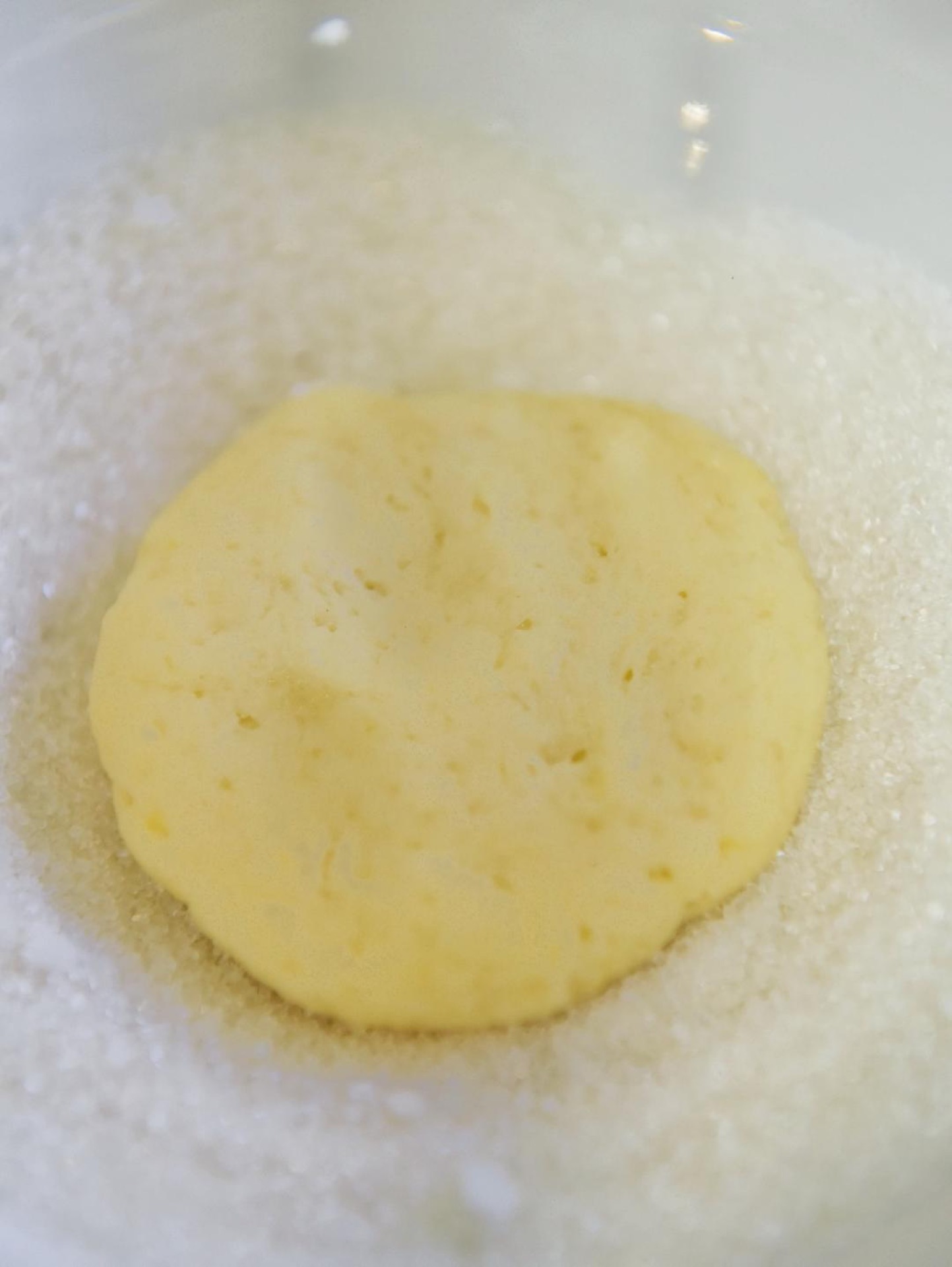 Flattened cookie dough pressed into granulated sugar
