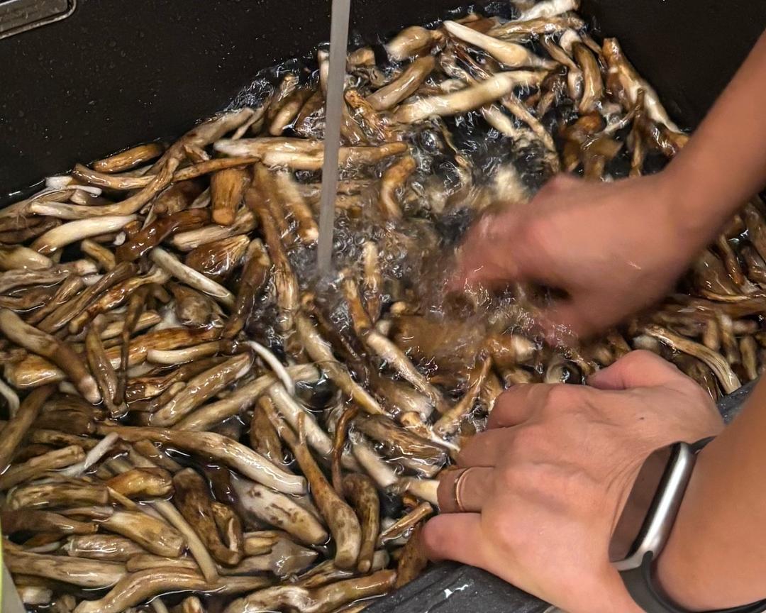 Clean mushrooms being rinsed several more times in a bowl