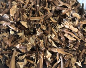 First batch of pre-cooked mushrooms cooling on a tray
