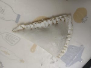 Press the edges closed with a fork to seal each little pie.