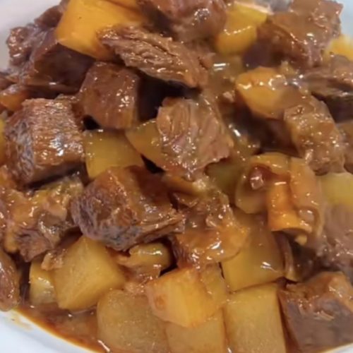 Braised beef with white radish in a dark bowl, garnished with scallions