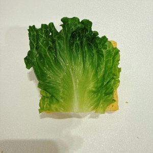 Place a fresh lettuce leaf on top.