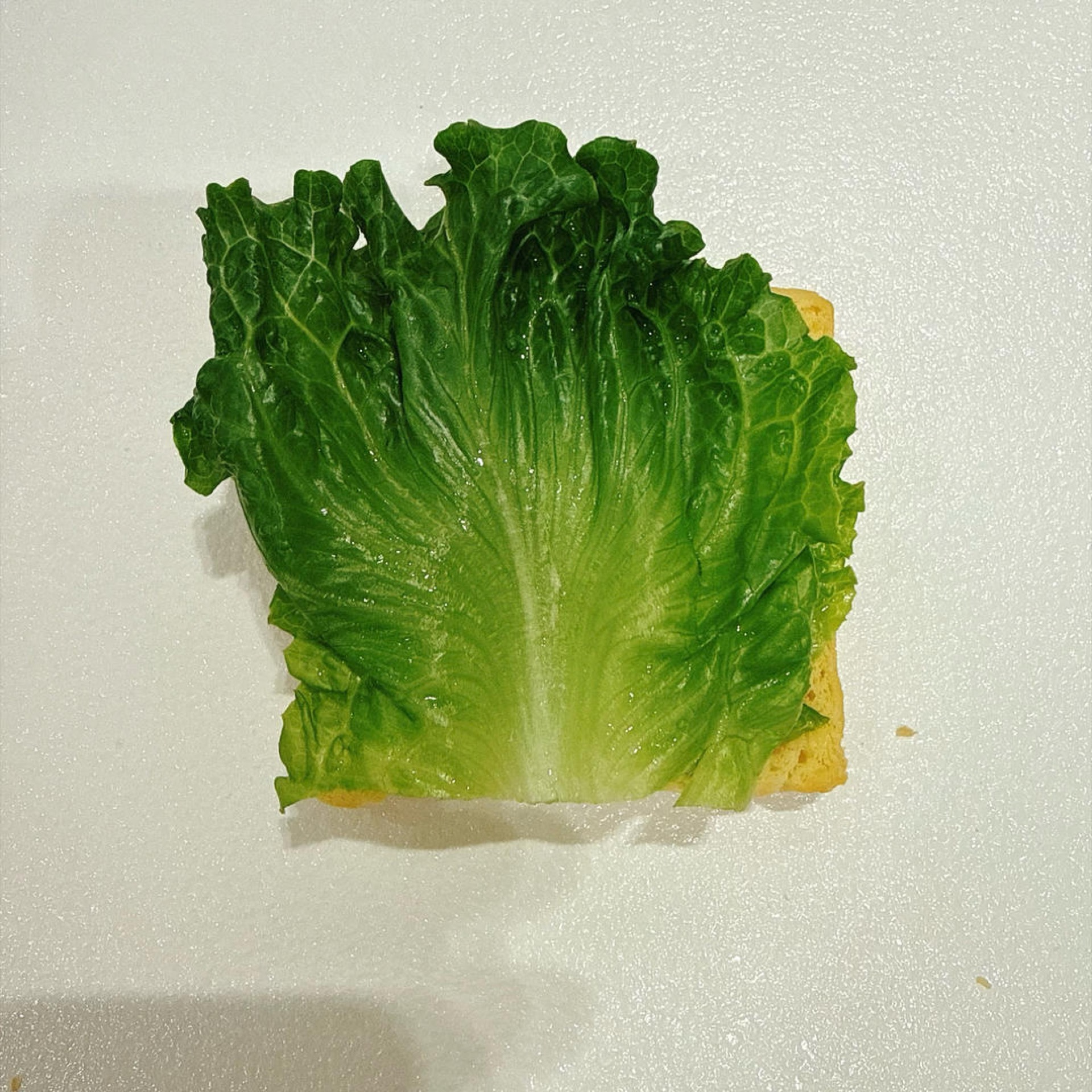 Place a fresh lettuce leaf on top.