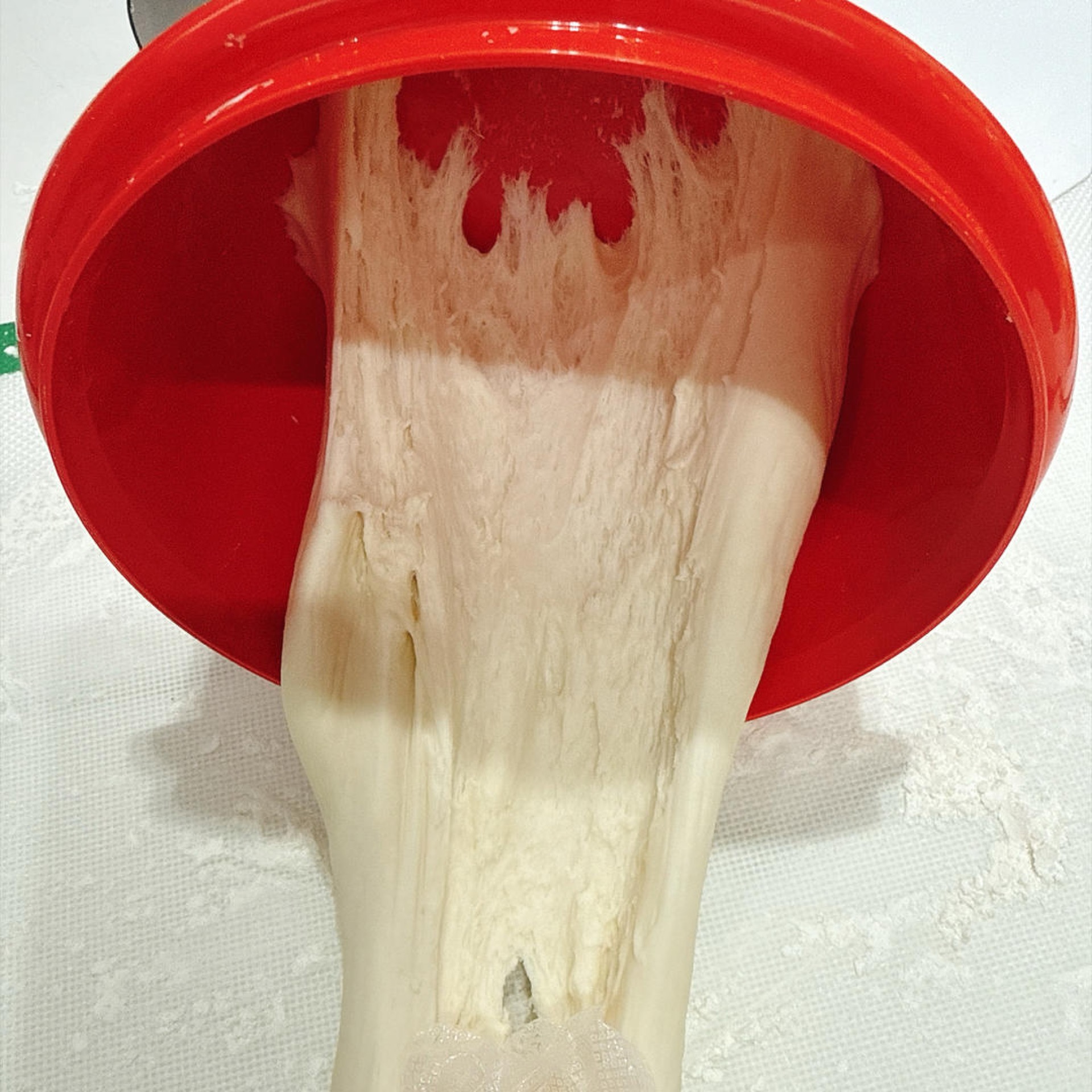 Look at the stretch and the gluten strands — the first rise went very well! The extensibility and gluten network of this dough are beautiful; it is definitely a well-fermented, liv