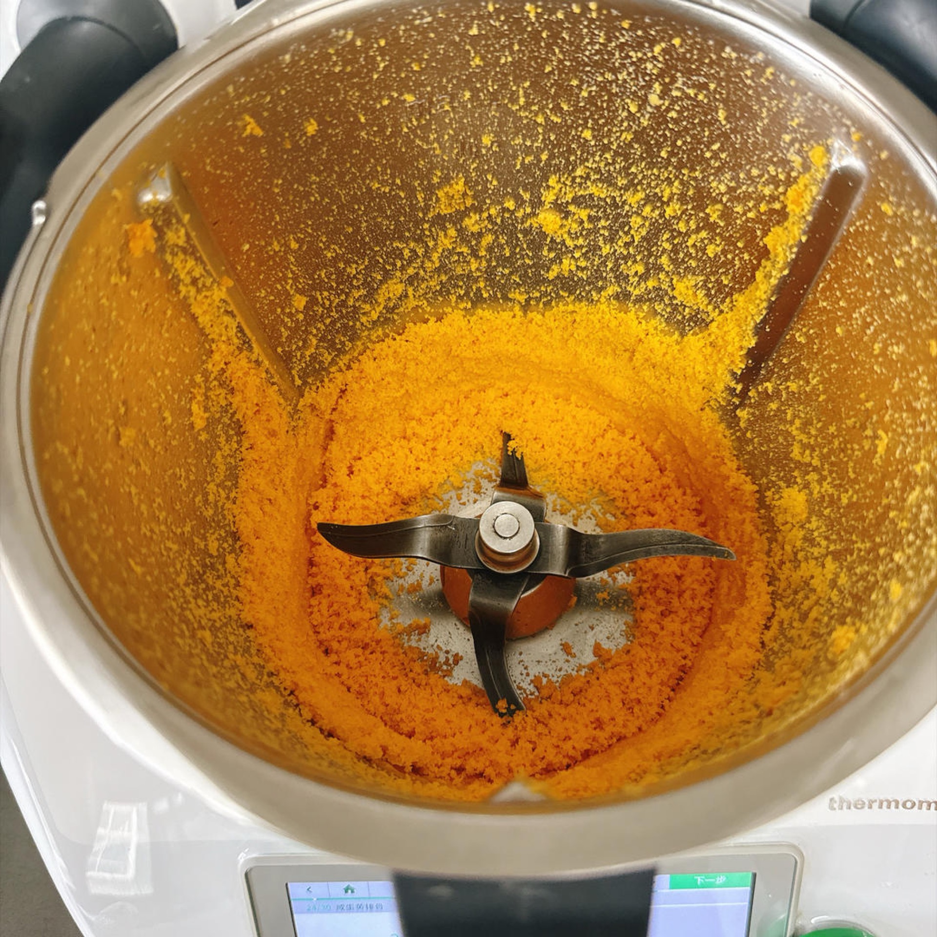 Blend for 5 seconds on speed 8 until the yolks are finely crushed.