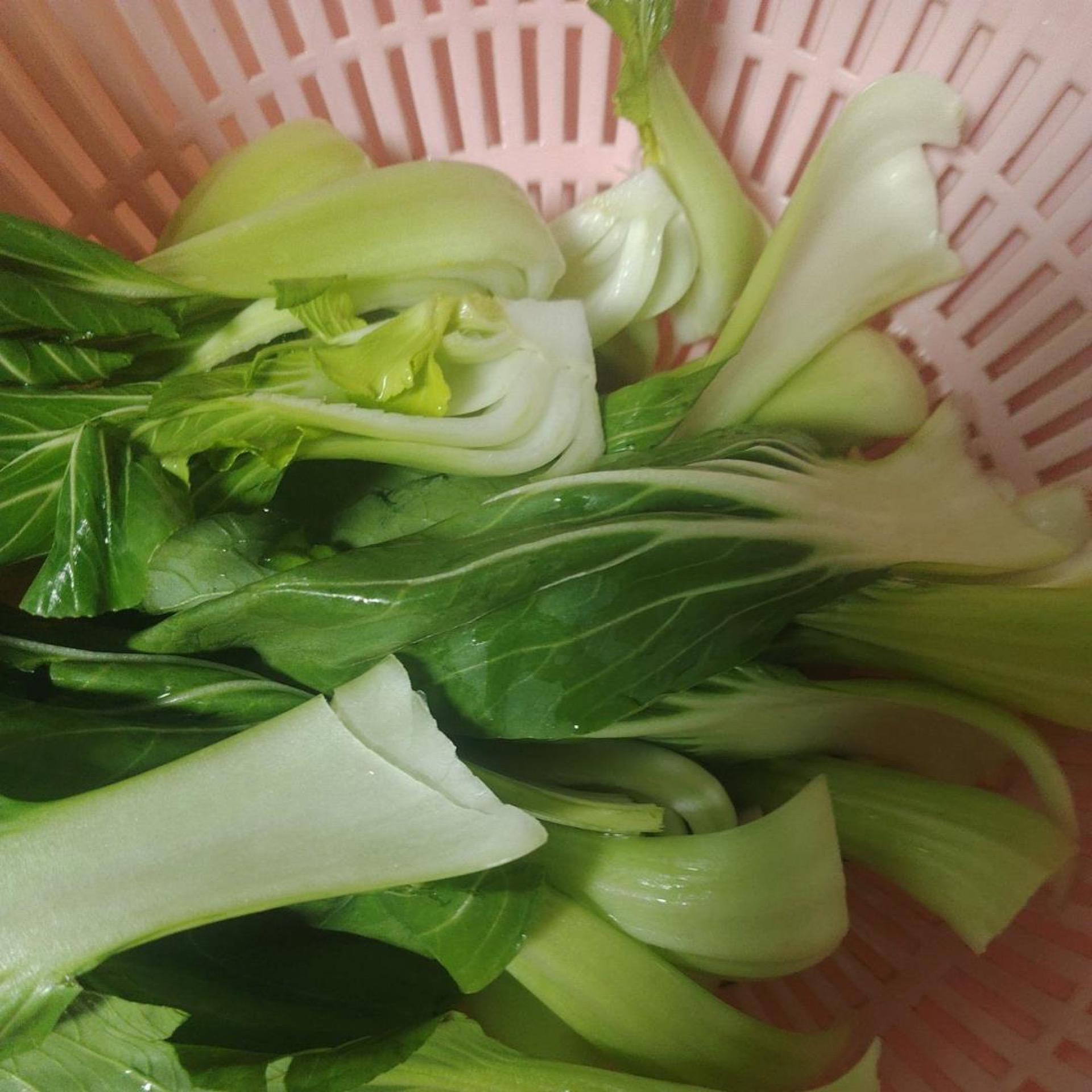 Wash the bok choy, cut the inner ones into quarters, leave the loose outer leaves whole, and drain them together with the mushrooms so no water remains and the oil won't spatter.